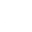 cyber security icon